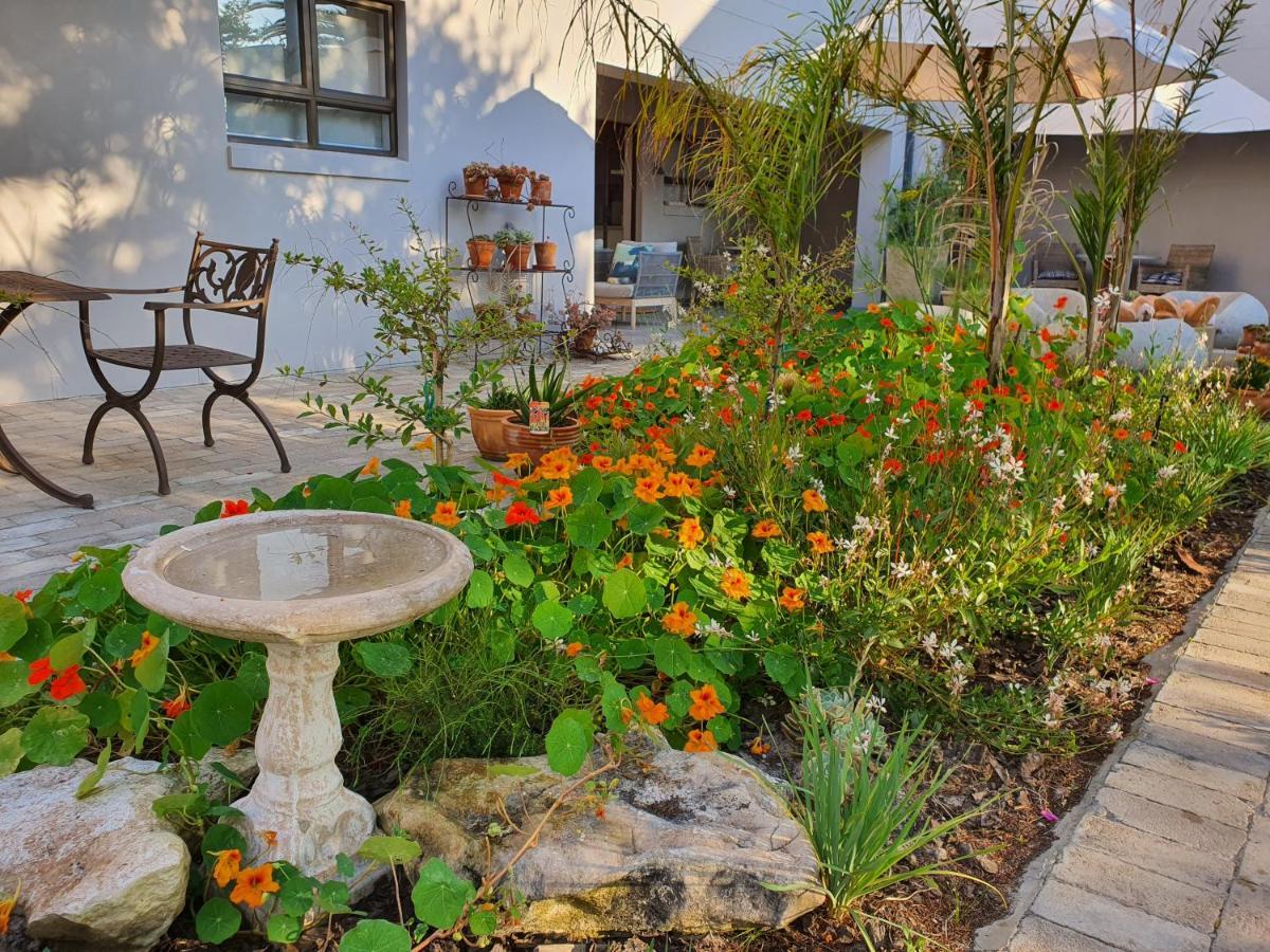 Albatross Guesthouse Langebaan Esterno foto